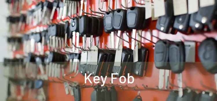  Key Fob 